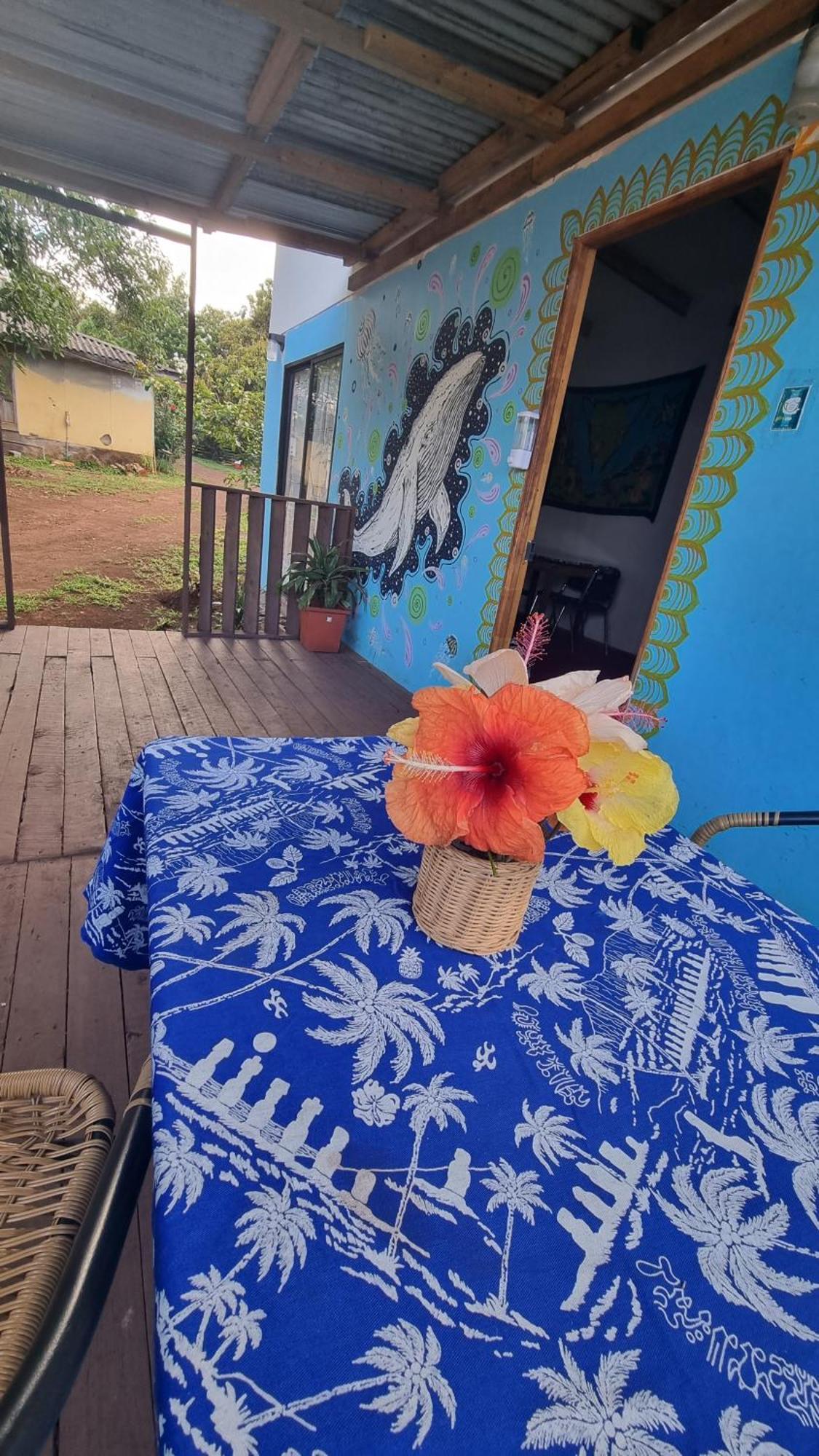 Cabanas Henua Roa Hanga Roa Rom bilde